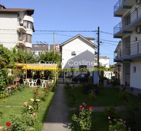 Vila Niky Alin Gasthuis Costinesti